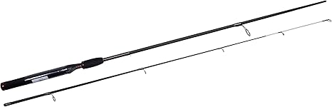 shakespeare ugly stik gx2 10ft