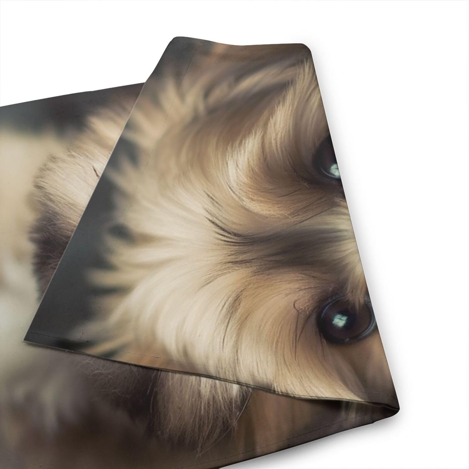 Starlit Gartenflagge – Yorkie & Schnauzer Motiv, 30,5 X 45,7 Cm, Doppelseitig, Wetterfest, Für Frühling/Sommer