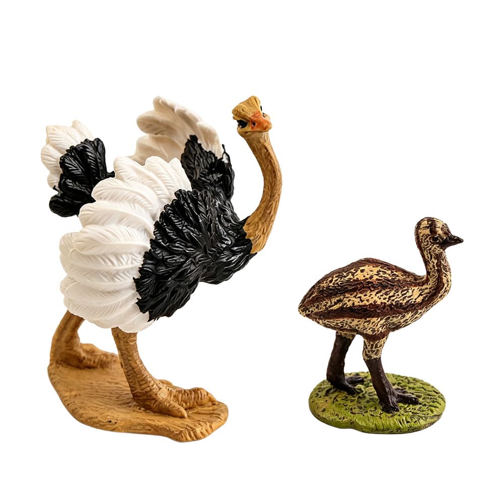 Jehoshaphat 2PCS Realistic Ostrich Bird Model PVC Animal Figurines Portable Ornaments for Car Interior Farm Home Office Indoor Display Decor
