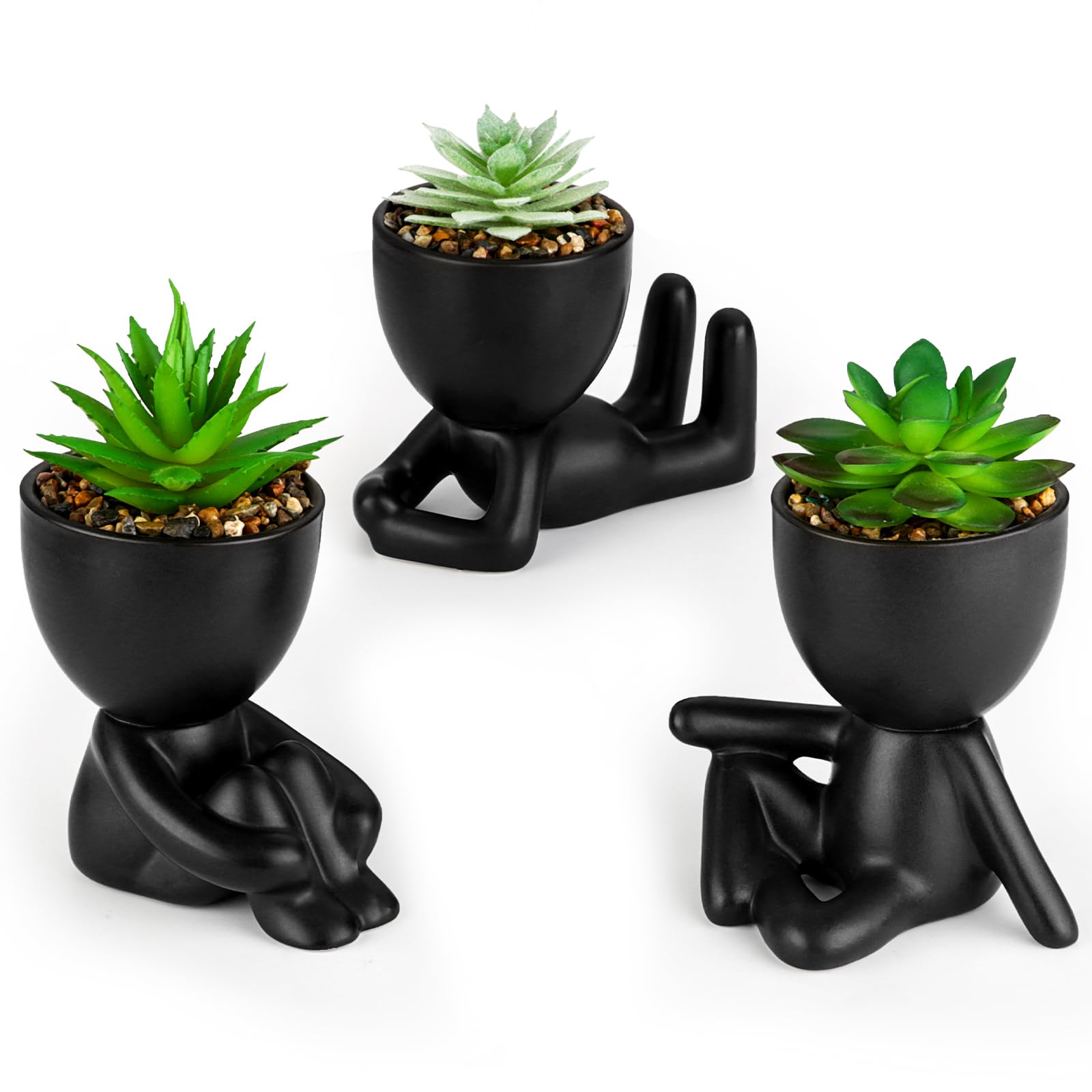 Plantes succulentes artificielles sans entretien pour piece sans lumiere