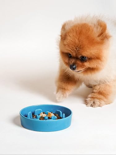 Vista 37 de LE TAUCI Cuencos de cerámica para perros de alimentación lenta, 3 tazas de alimentación lenta, tazón para perros de raza mediana y grande, cuenco
