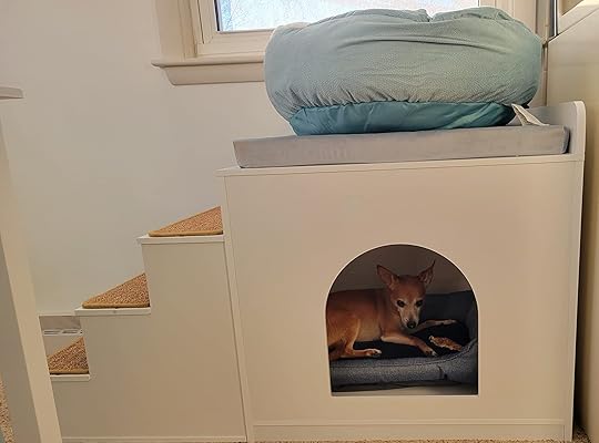 multi level dog bed