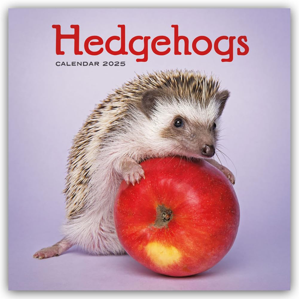Hedgehogs - Igel 2025 - Wand-Kalender: Original Carousel-Kalender [Mehrsprachig] [Kalender]