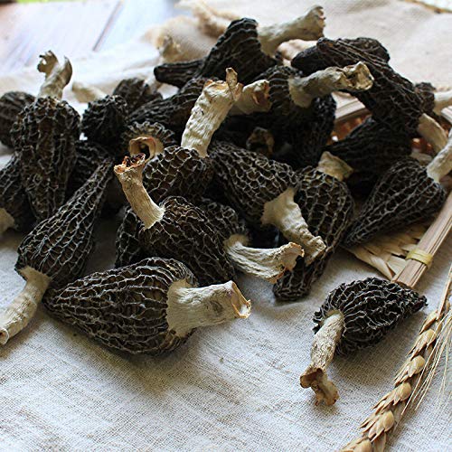Zhanyunmaoyi Jumbo Dried Morel Morchella Mushroom Crop Top Grade Premium Quality 100G thumb #3