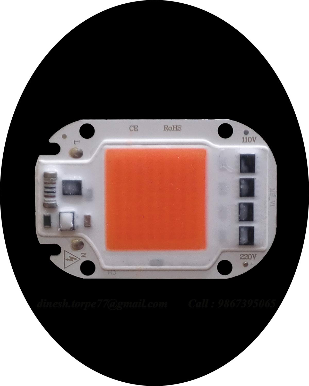 Torpe 50W AC 220 Volt Full Spectrum Led COB Chip Grow Light for Garden Hydroponic Plant, Green House etc.-image-27