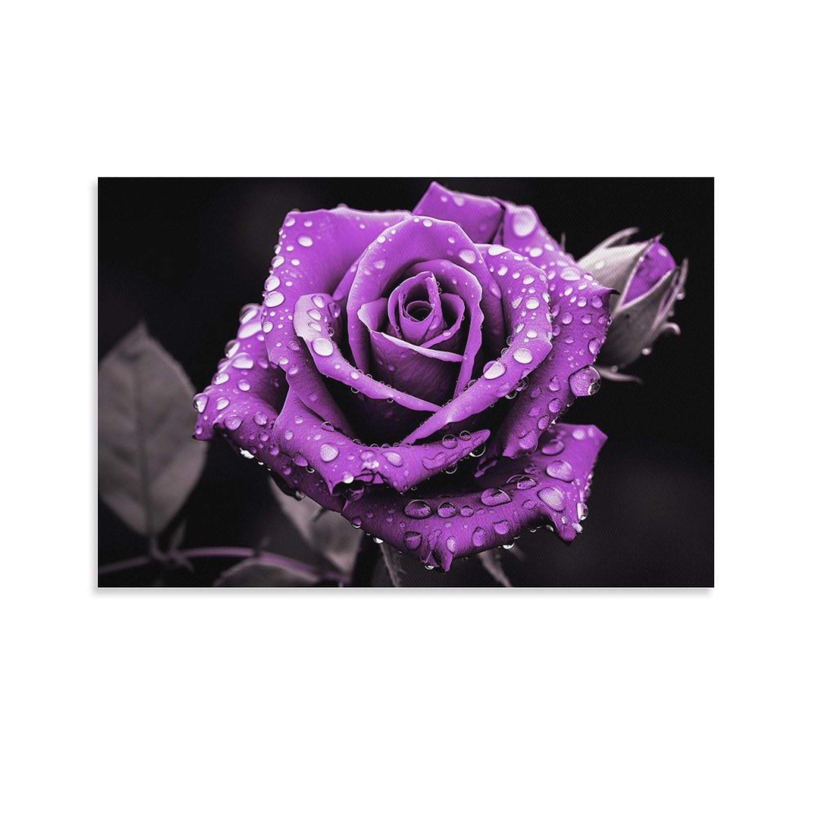 AYAROS Beautiful Purple Roses Canvas Wall Art for Bedroom Rustic Retro Flowers Plants Wall Decor Poster for Room Aesthetic Unframed 12x18 inch