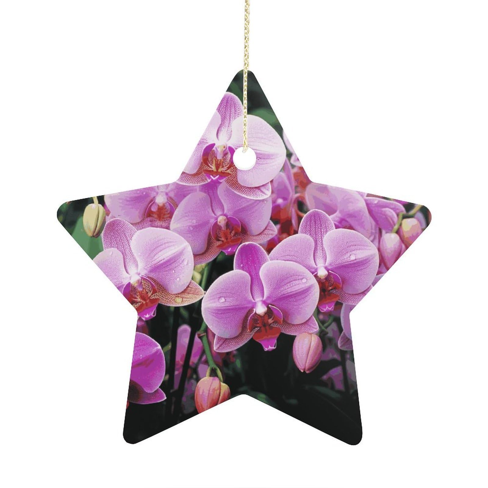 Orchids Stars Ornaments Ceramic Christmas Tree Hanging Light in Weight Christmas Star Pendants Funny Double-Sided Printed Xmas Ornaments for Gifts