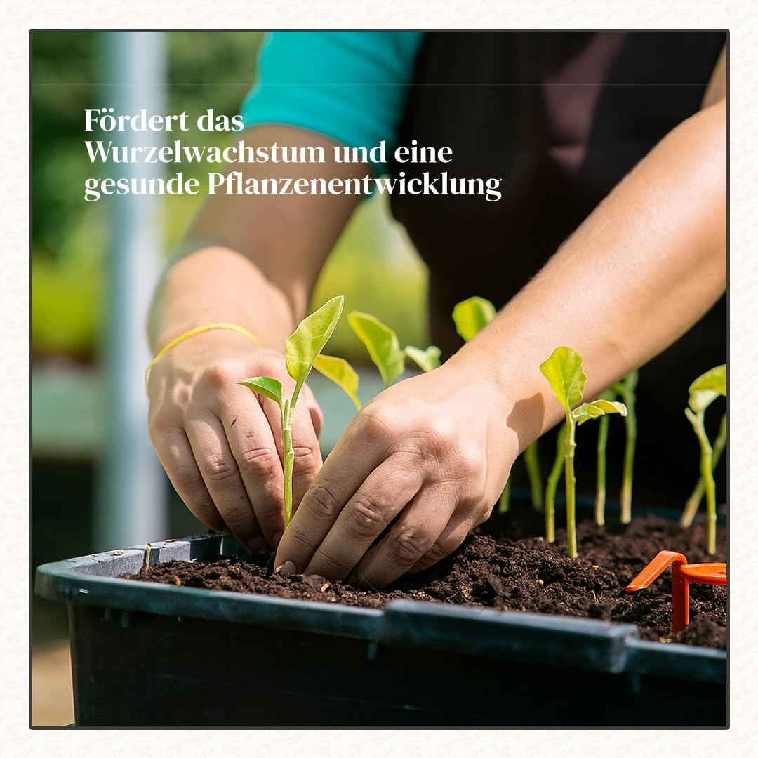 90L Kokoserde Ziegel 10 x 650g - Natürlich &Torffrei kokosfasern für Pflanzen Ideal für Innen und Außen - Topfpflanzen, Zimmerpflanzen, Balkonkästen, Gartenbeete.