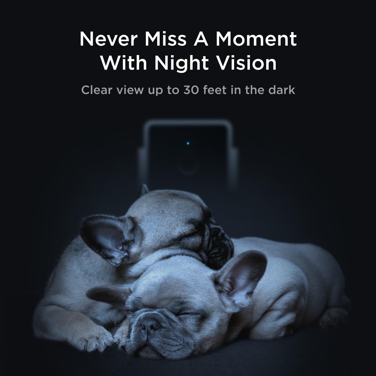 Petcube Cam – Indoor Wi-Fi Pet & Security Camera with App — Amazon image 6