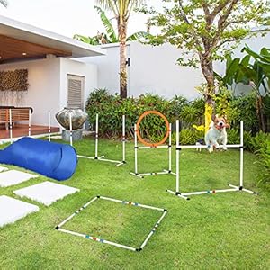 PawHut-Dog-Agility-Equipments-5-Pieces-Obstacle-Courses-Training-Starter-Kit-Pet-Outdoor-Games-of-Tunnel-Dog-Jump-Hoop-Weave-Poles-Pause-Box-and-Easy-Carry-Case - Cucciolini Doodles   PawHut-Dog-Agility-Equipments-5-Pieces-Obstacle-Courses-Training-Starter-Kit-Pet-Outdoor-Games-of-Tunnel-Dog-Jump-Hoop-Weave-Poles-Pause-Box-and-Easy-Carry-Case