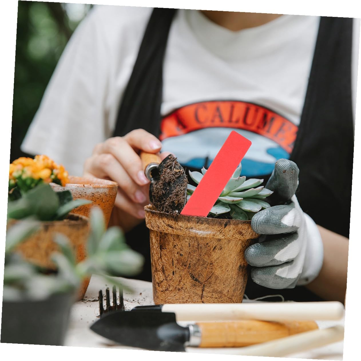 600pcs Plastic Plant Labels Garden Markers Waterproof Small Plant Tags for Pots and Succulents Multi-Color 10x1.8cm Stakes for Outdoor Gardening