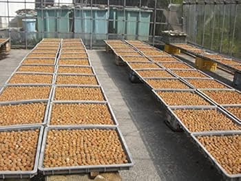 【訳あり】昔ながらの梅干し5kg 紀州南高梅 紀州南高梅 無添加 昔ながらの酸っぱい梅干し 5Lサイズ｜漬物