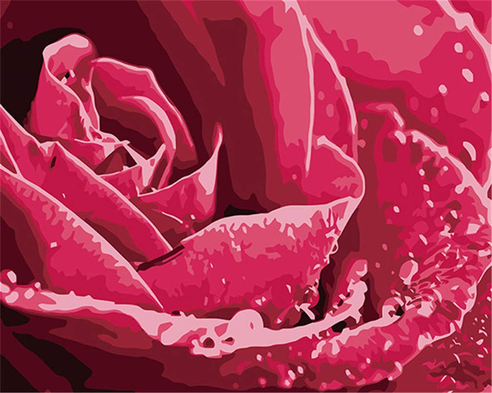 Amiiba DIY Paint by Numbers Kits, Rain Dew Pink Rose 16x20 inch Acrylic Painting by Number Wall Art Crafts (Rose, Without Frame)