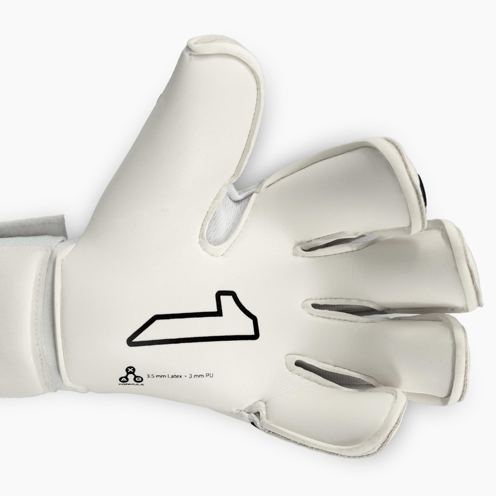 オリンパス ガストロプロジェクター レトロ Amazon.com : Rinat SANTOLOCO PRO Goalkeeper Gloves Size 7 : Sports
