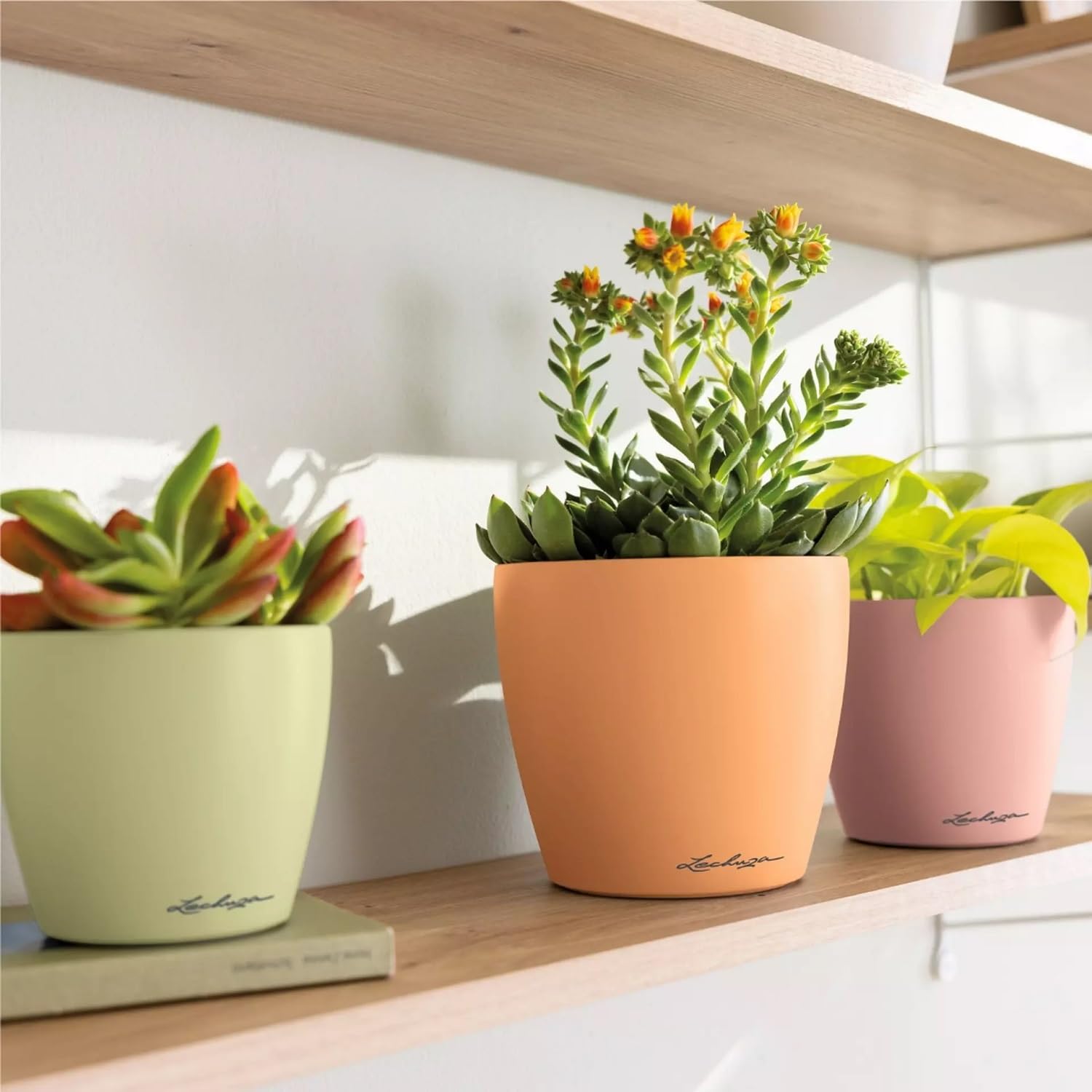 LECHUZA - CLASSICO Color 14 Table Pot Slate Grey | Pot with Watering System, Water Level Indicator and Plant Insert | Matt Surface | Diameter 15 x 13.5 cm | 16695 LECHUZA - CLASSICO Color 14 Table Pot Slate Grey | Pot with Watering System, Water Level Indicator and Plant Insert | Matt Surface | Diameter 15 x 13.5 cm | 16695