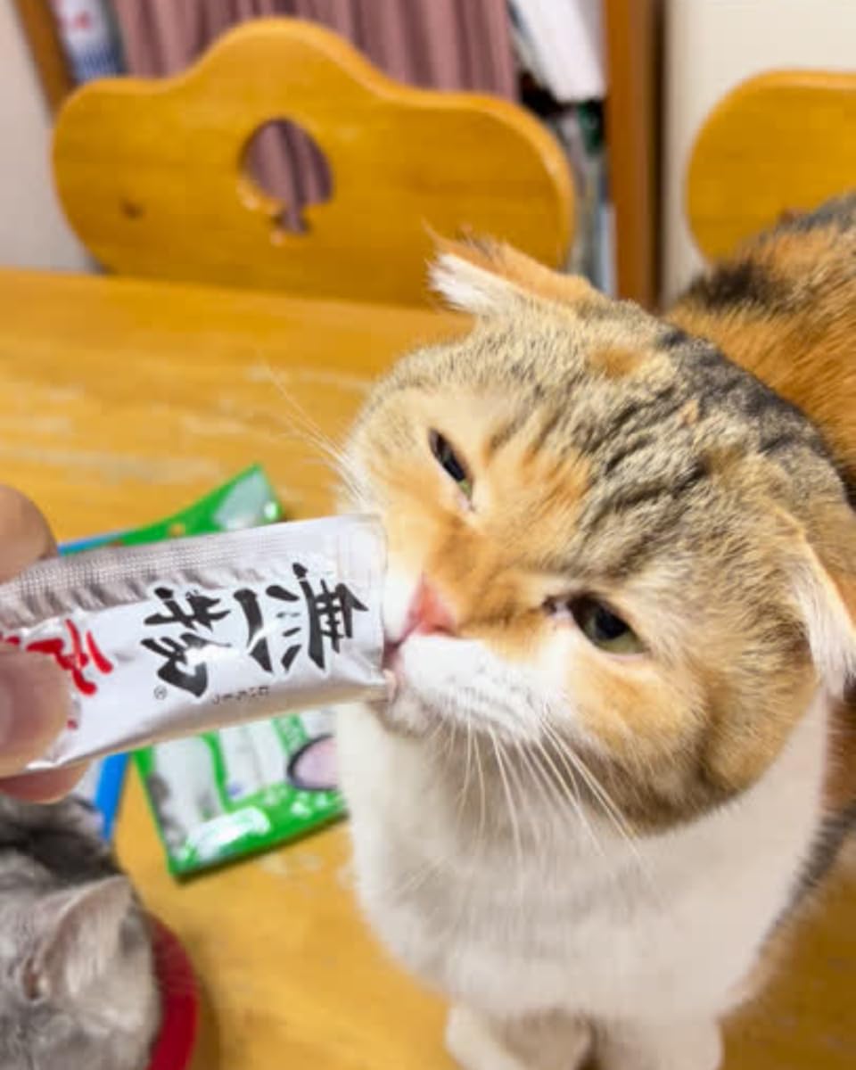 Amazon.co.jp: はごろも キャットフード 無一物 舌福 バラエティ