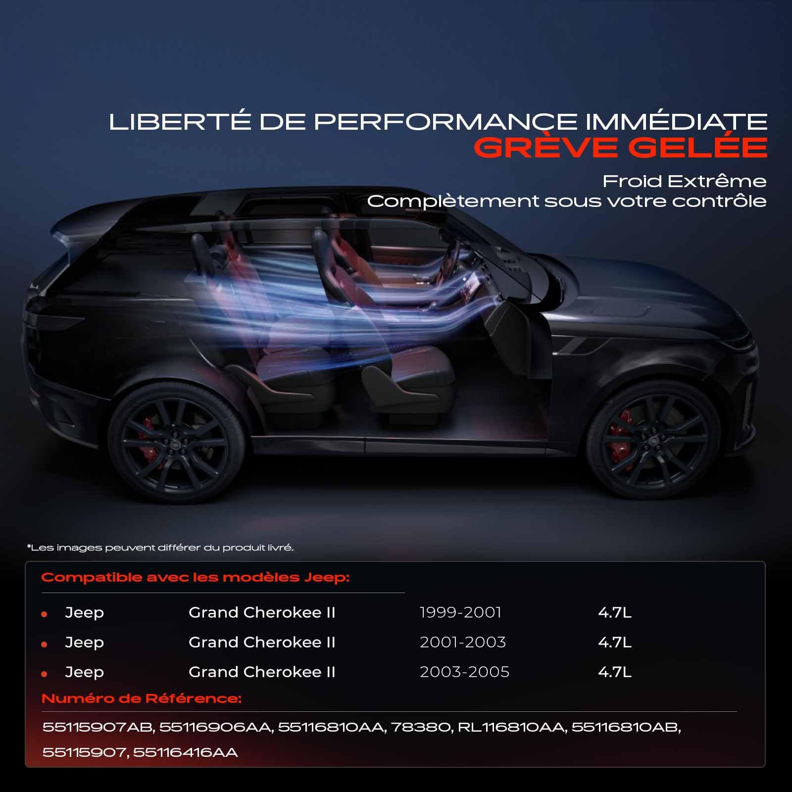 Frankberg Compresseur de climatisation avec embrayage, essence 55116416AA | Compatible avec: