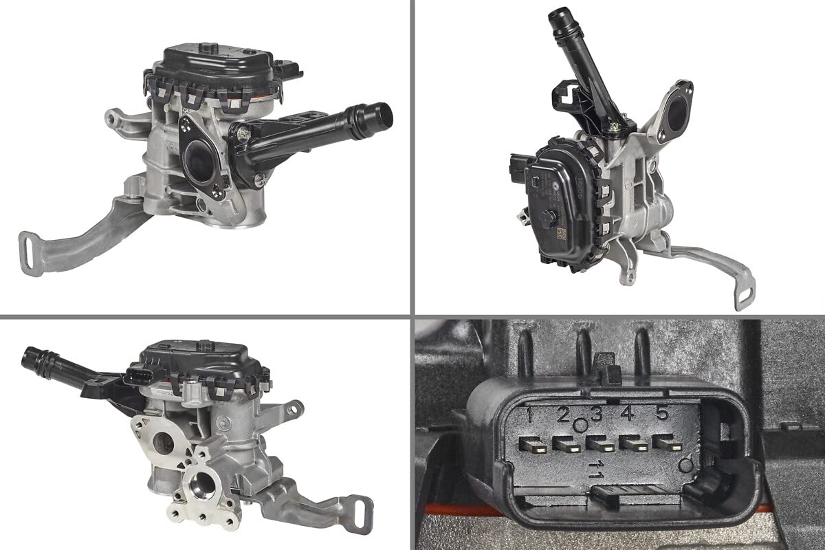 Valeo AGR-Ventil 700455