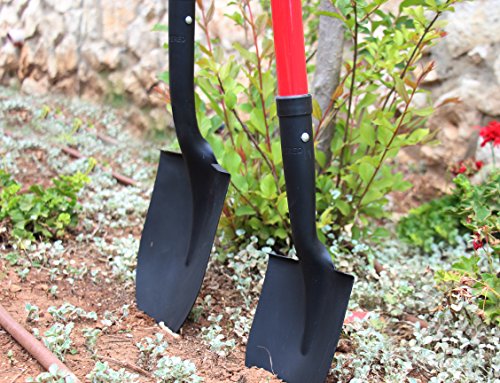 Tabor Tools Shovel With Rounded Blade And Comfortable D Grip 31 Inch Fiberglass Handle, Digging Spade. J201A. (D Handle, Round Blade)  #TOP5
