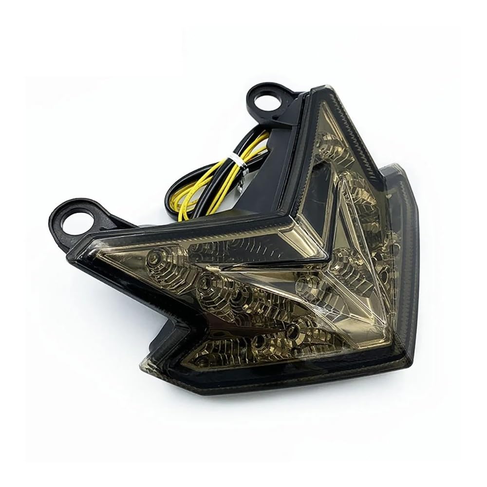 Luz trasera LED para motocicleta, luz indicadora de señal de giro trasera de freno para Kawa&saki Z800 Zx6r Z125 Luz trasera moto