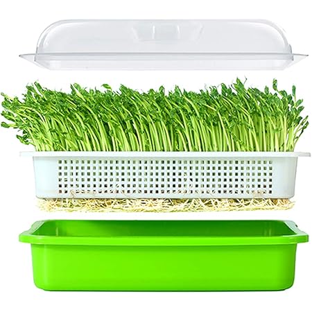 LeJoy Garden Seed Sprouter Tray BPA Free PP Soil-Free Big Capacity Healthy Wheatgrass Grower with Lid Sprouting Kit 13.4x9.84x4.72 inches(LxWxH)