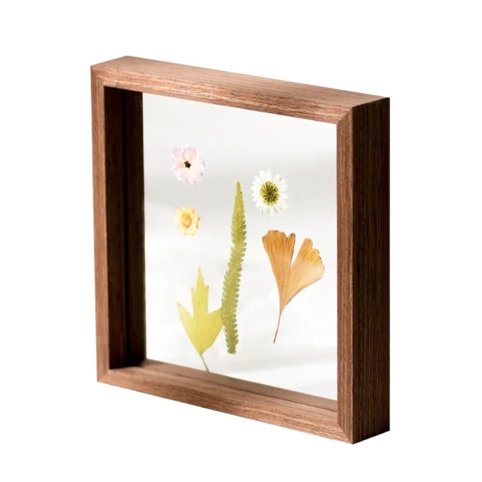2Pcs Wooden Photo Frames Table Display Double Side Pressed Flower Plant Specimen Herbarium Clip Glass Frame(Brown,22X22cm)