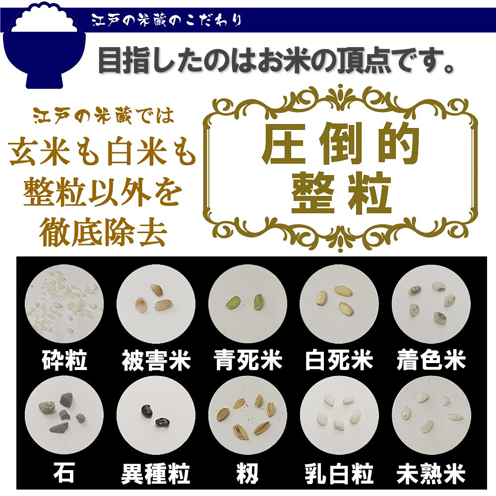 Amazon.co.jp: 【精米】 新米 令和7年産 特別栽培米 一等米 新潟県産 Amazon.co.jp: 【精米】 新米 令和7年産 特別栽培米 一等米 新潟県産