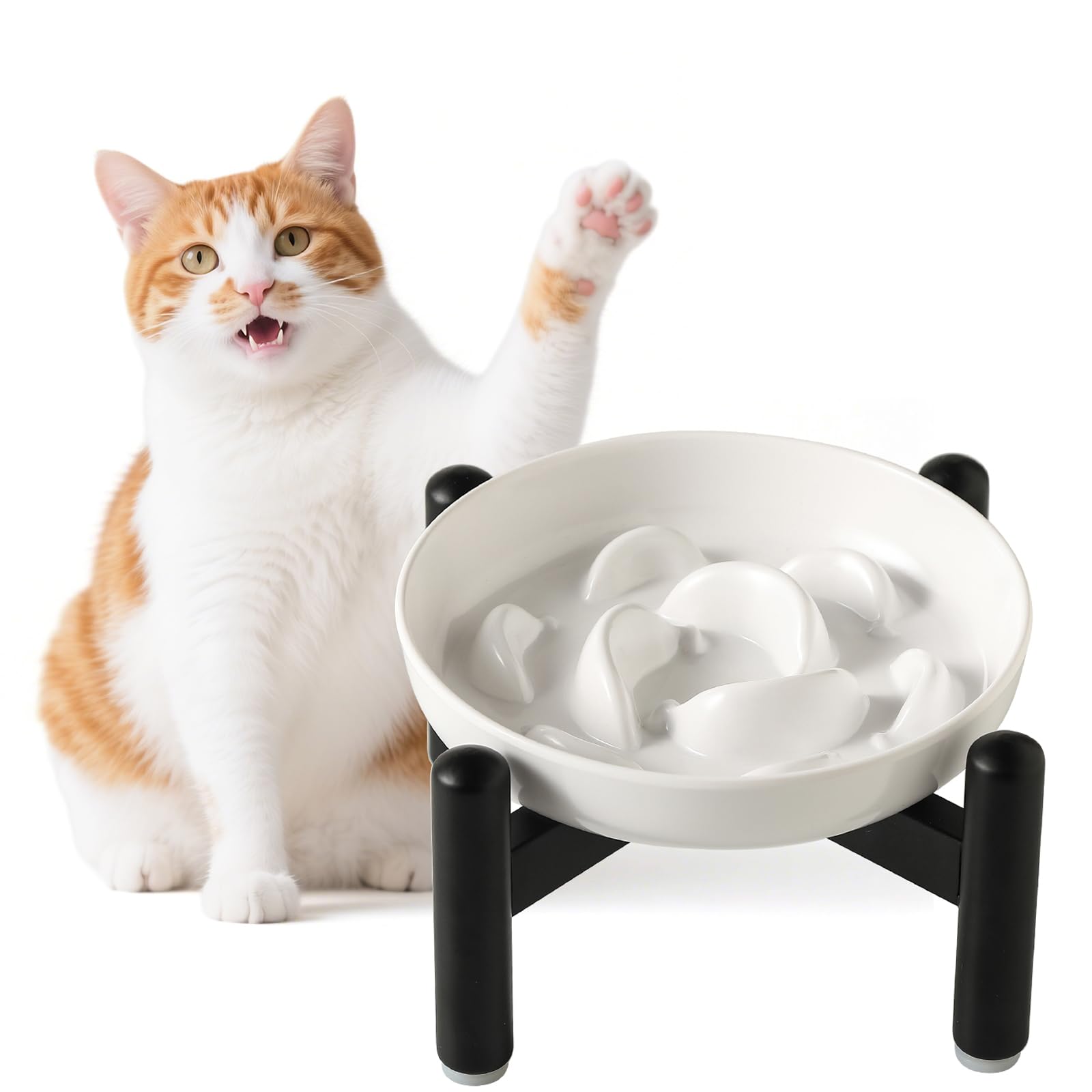 Gamelle anti-glouton chat surélevée avec bol labyrinthe et support inox