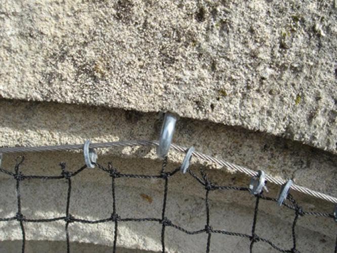 Filet Anti-Étourneaux - Maille 28 Mm, Noir, 5 M X 5 M - Protection Pour Fruits, Verger, Jardin