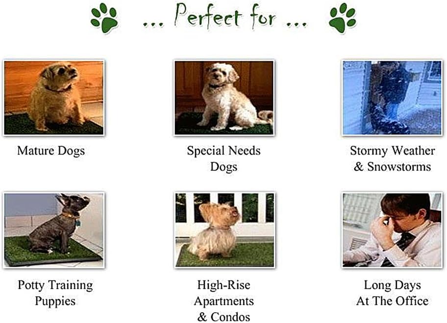 GOLDEN MOON Artificial Dog Grass, Dog Grass Pee Pad for Indoor Outdoor Potty Training Replacement Mat