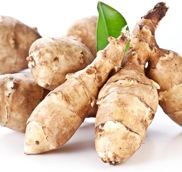 5 Large Jerusalem Artichokes Tubers for Planting, Fresh Sunchokes Sunroots, Hardy Edible Perennial Roots for Outdoor Vegetable Garden