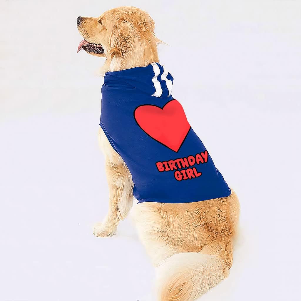 Birthday Girl Dog Shirt with Hoodie - Heart Dog Hoodie - Cute Dog Clothing - Gray White, S