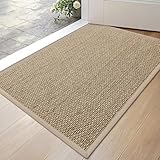 DEXI Zerbino Ingresso 43 x 76 cm, Tappeto Interno Antiscivolo, Fondo in Gomma, Facile da P...