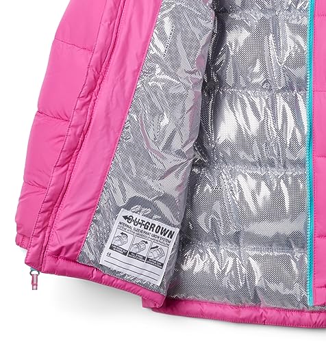 Image of Columbia Kids Pike Lakea ¢ II Hooded Jacket (Little Kids /Big Kids)