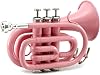 Sky Band Approved Pink Plated Bb Pocket Trumpet with Case, Cloth, Gloves and Valve Oil, Guarantee Excellent Sound