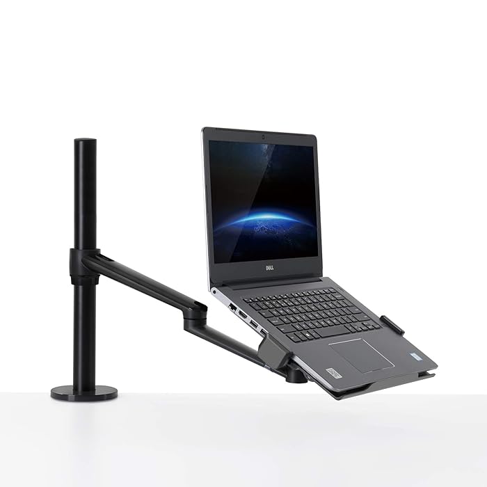 Buy Thingy Club Single Arm Laptop Mount, Desk Mount Stand for 1217