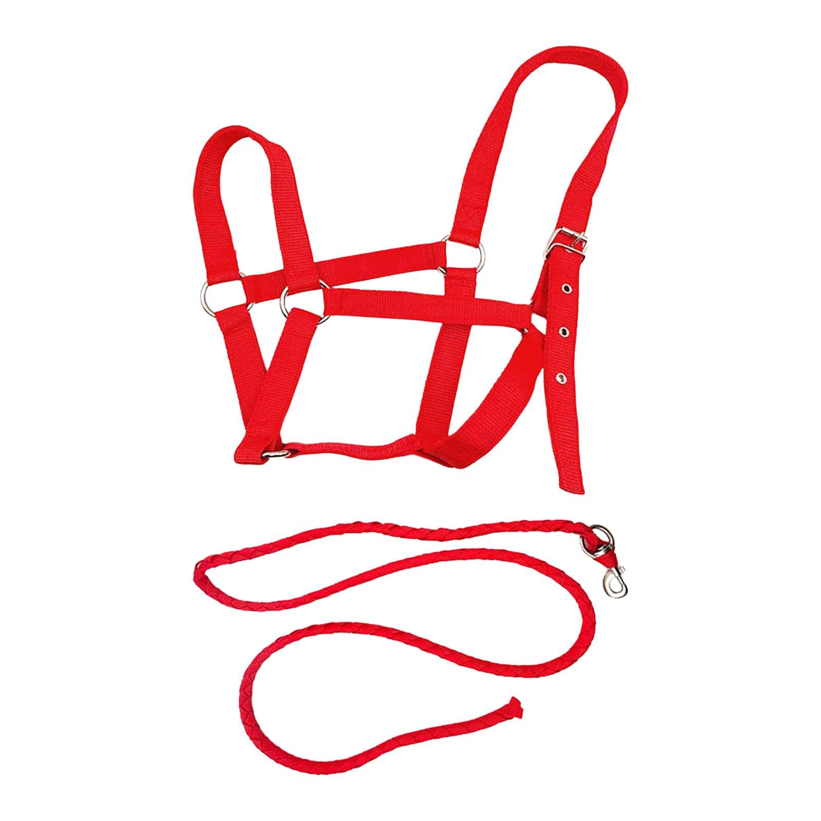 Cavezza per Cavallo con Corda, Cavezza Regolabile in Nylon, per Sport Equestri, Conduzione, Addestramento, Toelettatura, Viaggi, Proprietari, Uso Este