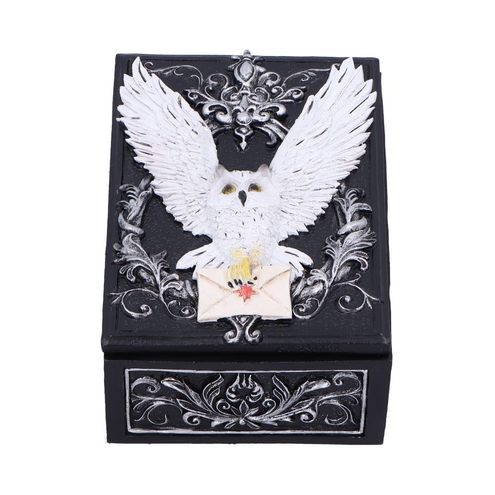 Nemesis Now Owl Messenger Box, Snowy Owl with Sealed Letter on Gothic Floral Resin Trinket Box, Hand-Painted Fantasy Storage for Jewelry and Treasures