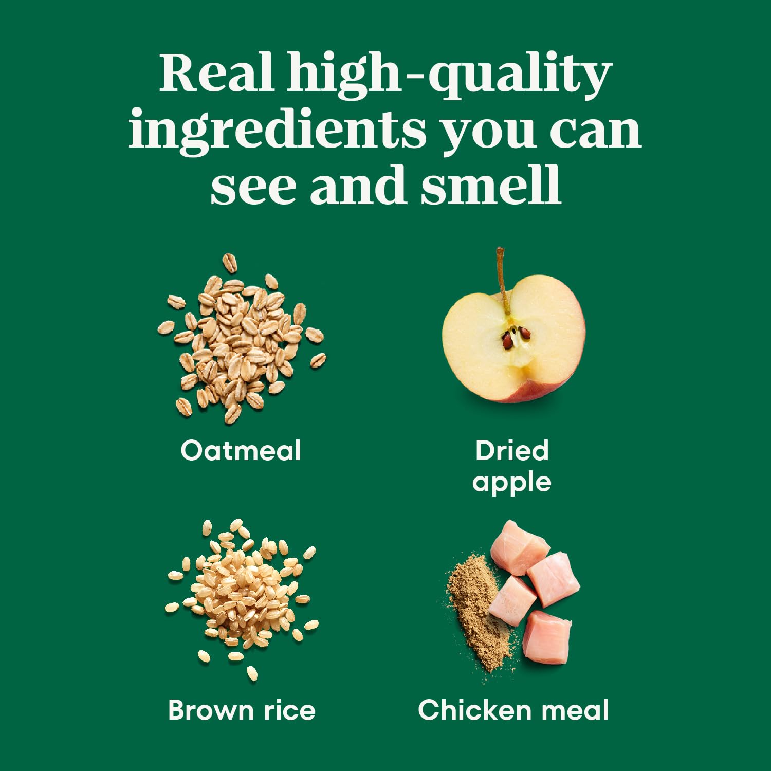 Nutro Crunchy Dog Treats with Real Apple, Training Treats for Dogs, 10 oz. Bag Apple 10 Ounce (Pack of 1) - 4