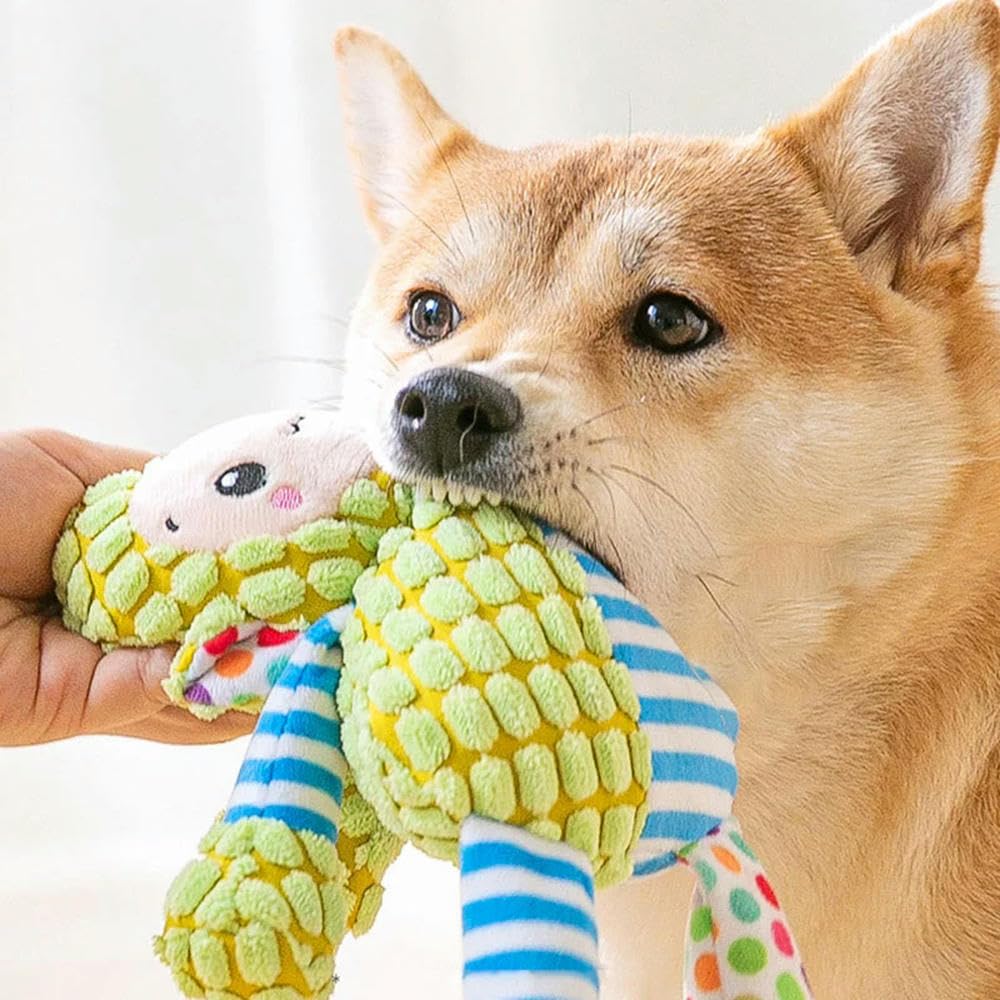 Zabawki dla szczeniąt, Zabawki dla psów Pluszowa zabawka kota i psa Puzzle Zabawka odporna na gryzienie Interaktywna piszcząca do czyszczenia zębów 2 szt(Dog)