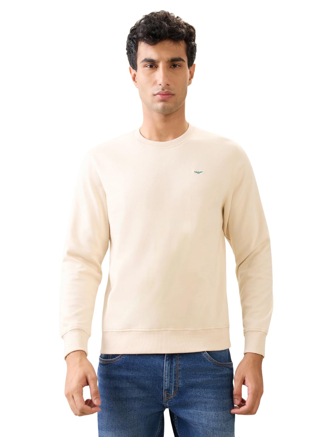 park avenue Men Full Sleeve Slim Fit Solid Pattern Cotton Polyester Blend Regular Neck Casual Sweatshirt-picture-35