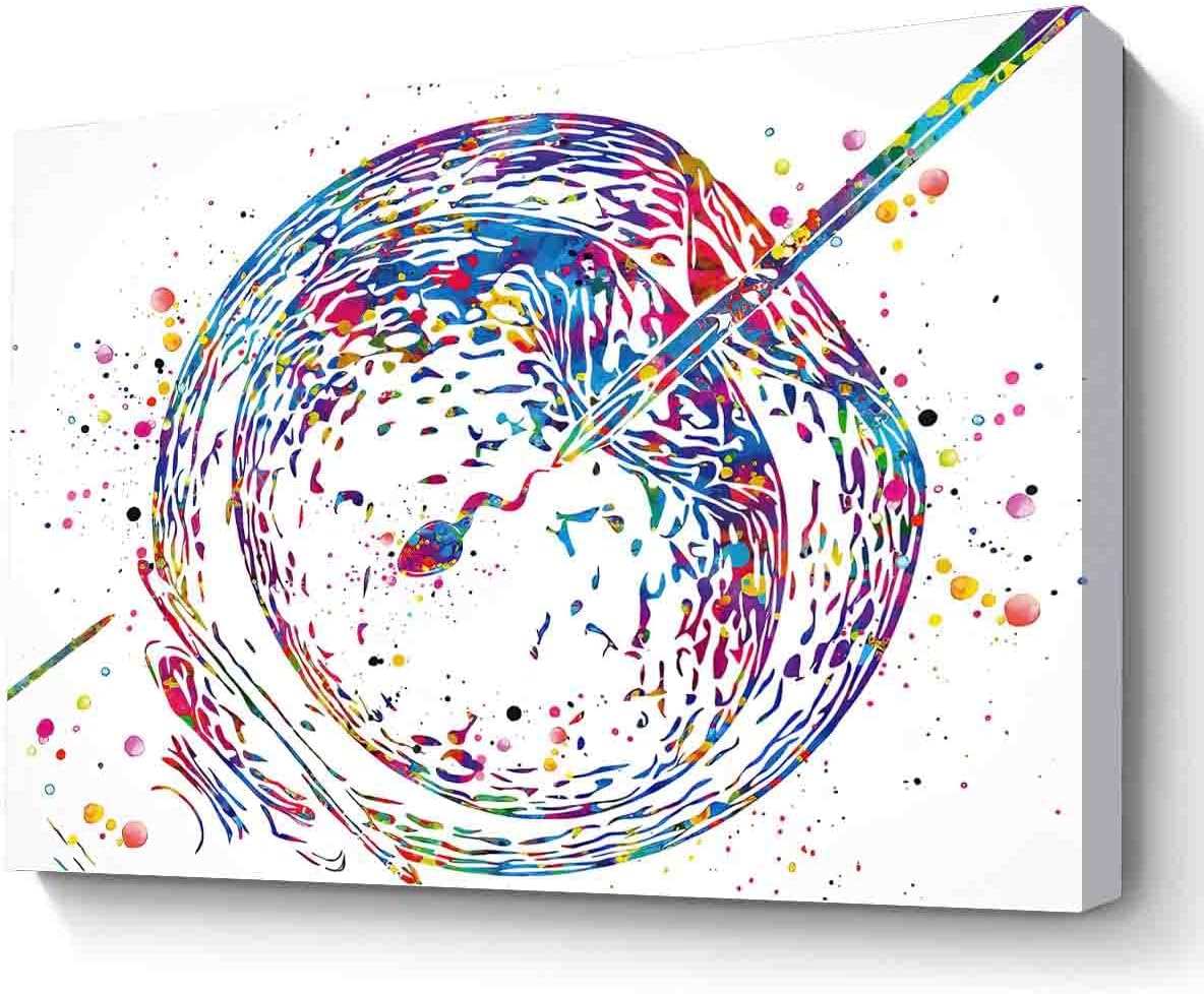 MBARE Watercolor Posters Wall Art,Ivf Art Watercolor Print Embryonic Art Gynecology Medical Art In Vitro Fertilization Obgyn Infertility Fertility Clinic Office Decor~-12"X16" Canvas Print With Frame