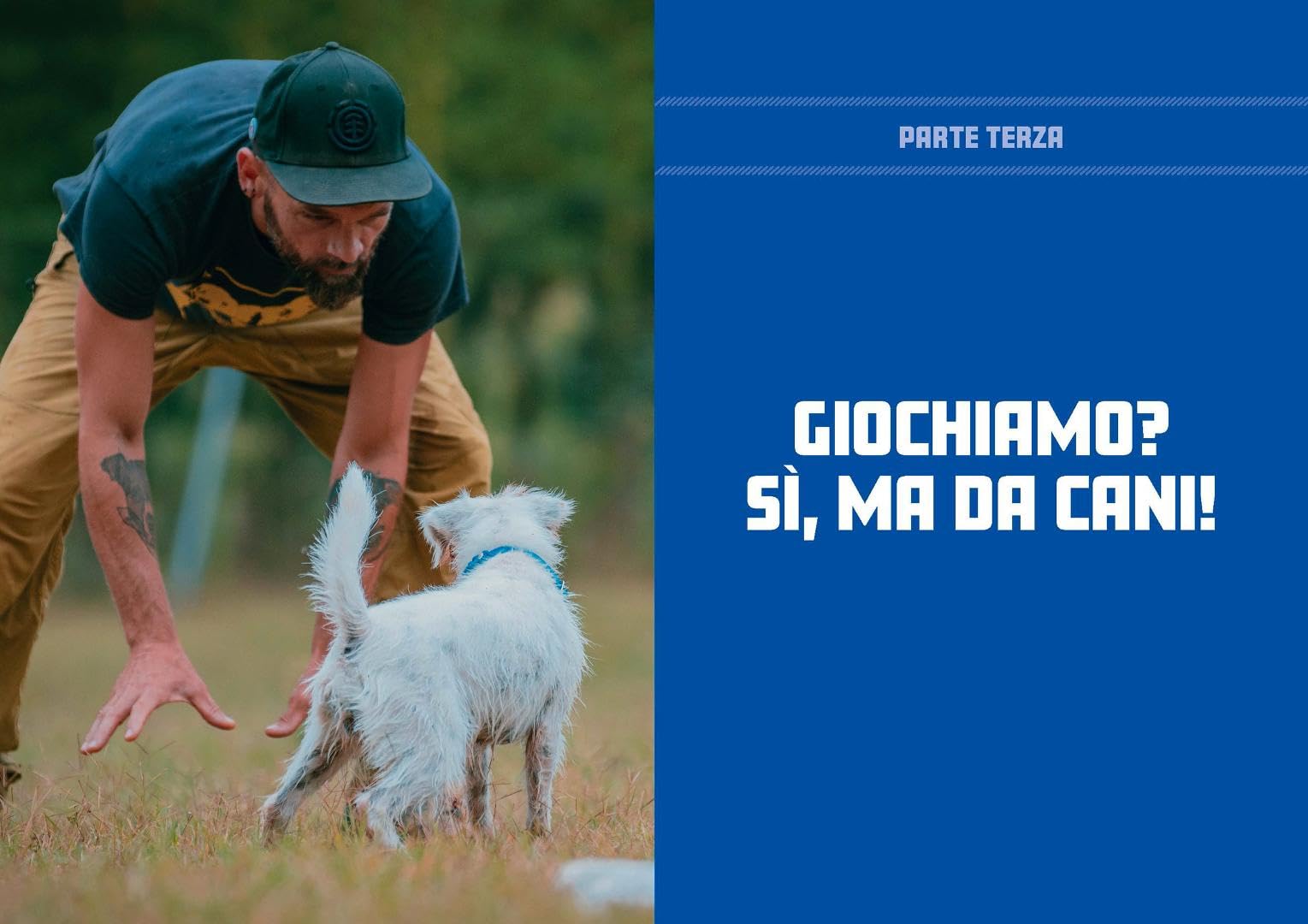 Giochiamo? Il primo manuale sul gioco dal punto di vista del cane