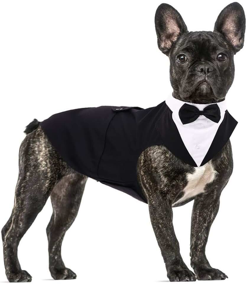 Amazon.co.uk dog tuxedo
