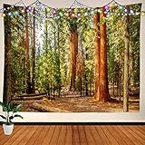 BaoNews Viridian Nature Sequoia Tapestry,Wood Red Forest Jungle Large Wall Hanging Polyester Tablecl