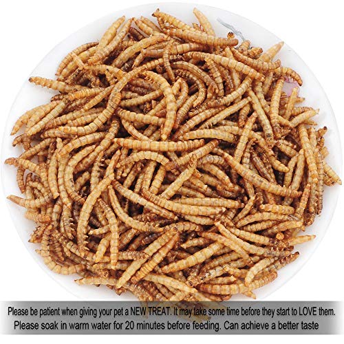Reptile Food Dried Mealworms Pet Worms Food for Bearded Dragon, Lizard, Turtles, Chameleon, Monitor, Frog, Sugar Glider, Chickens, Ducks, Wild Birds, Fish, Hamsters and Hedgehogs (8 OZ)
