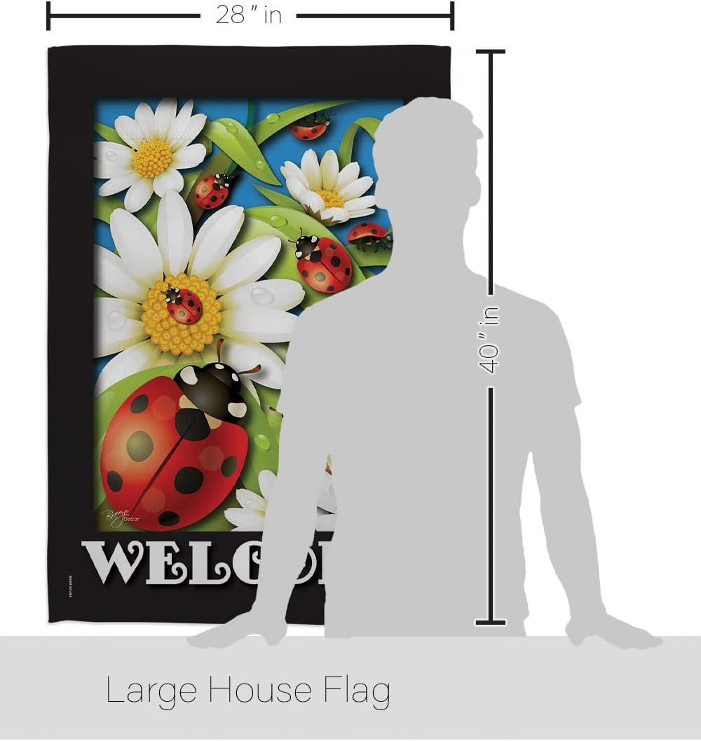 Breeze Decor BG-H-104068-IP Ladybug Heaven Decorative Vertical House Flag, 28"x 40", Multicolor