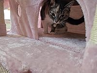 Review Image by I buy to much stuff to post my name I buy to much stuff to post my name