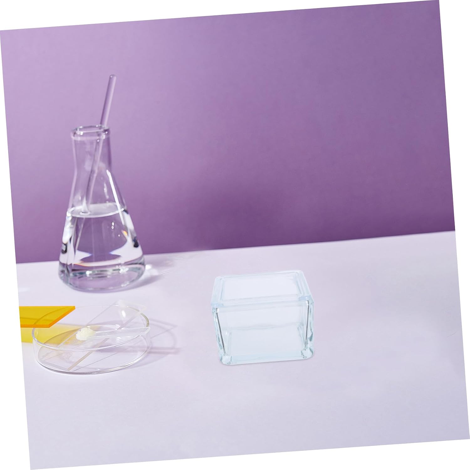 Slide Staining Jar with Lid and Rack for Microscope Slides Glass Laboratory Staining Container Compatible with Pathology and Biology Labs