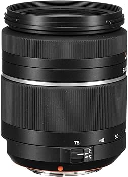 ■大三元 ソニー用 SONY 28-75mm F2.8 SAM　SAL2875 □大三元 ソニー用 SONY 28-75mm F2.8 SAM SAL2875